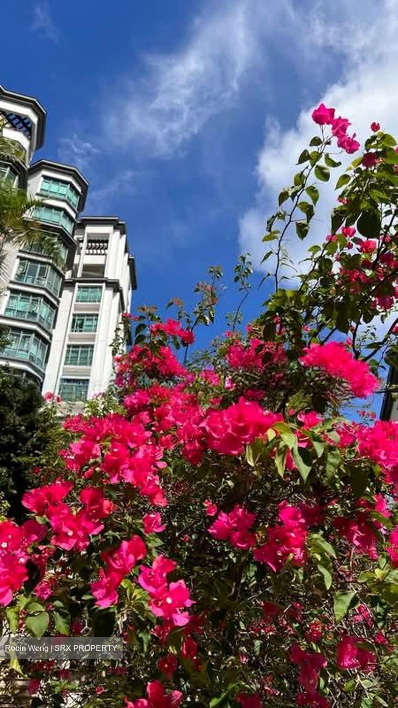 The Hillside (D21), Condominium #570612921